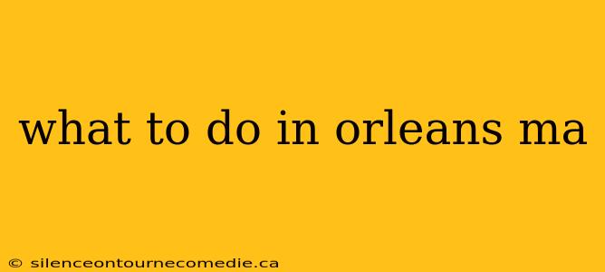what to do in orleans ma