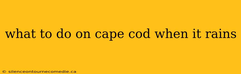 what to do on cape cod when it rains