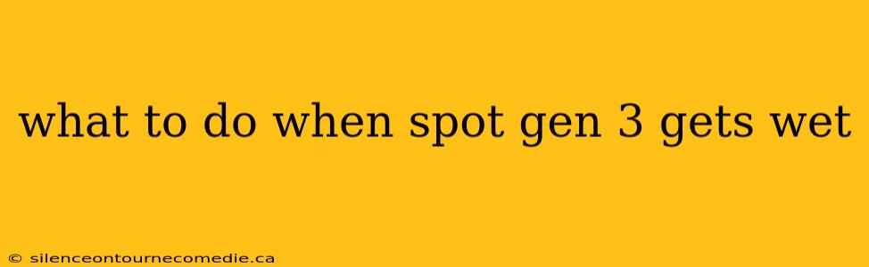 what to do when spot gen 3 gets wet