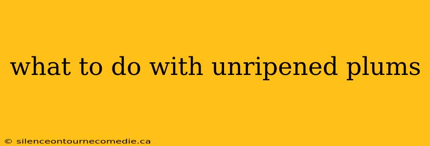 what to do with unripened plums