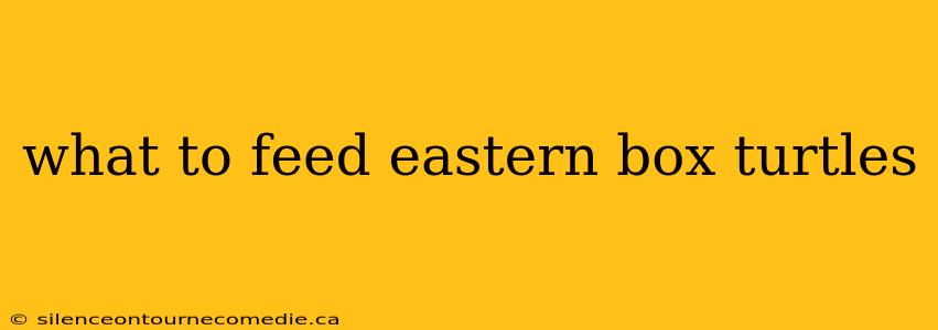 what to feed eastern box turtles