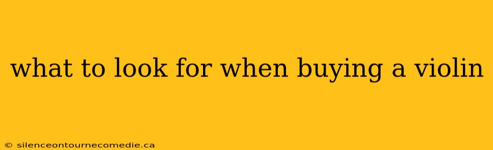 what to look for when buying a violin