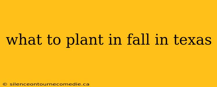 what to plant in fall in texas
