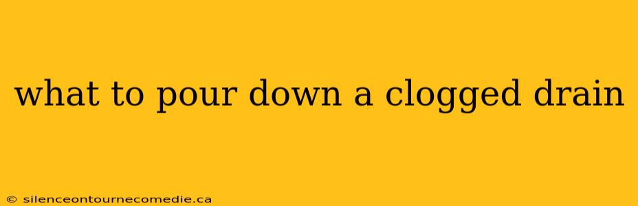 what to pour down a clogged drain