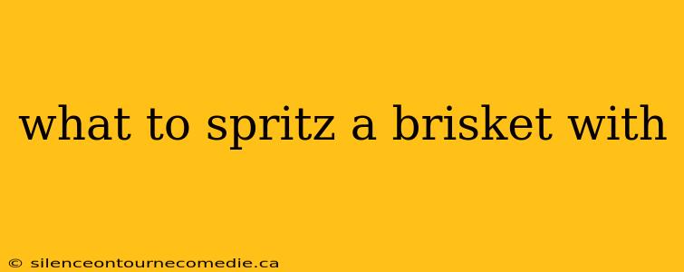 what to spritz a brisket with