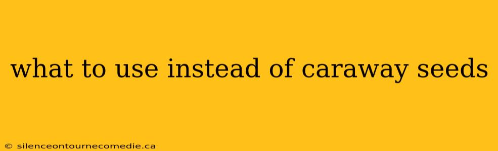 what to use instead of caraway seeds
