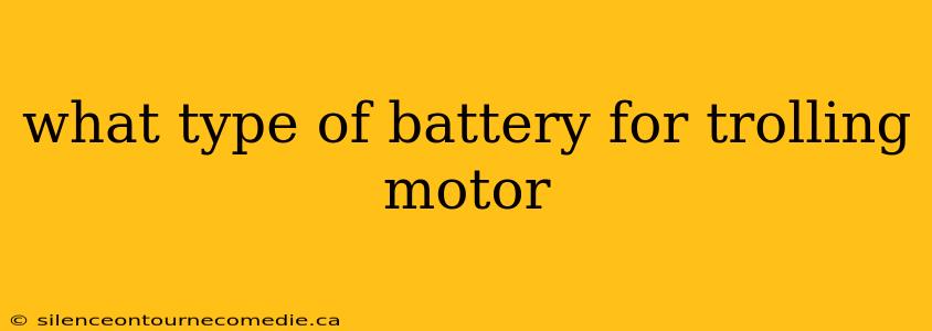 what type of battery for trolling motor