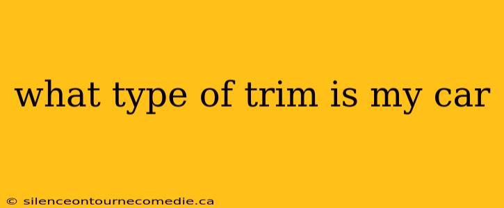 what type of trim is my car