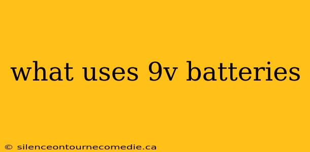 what uses 9v batteries