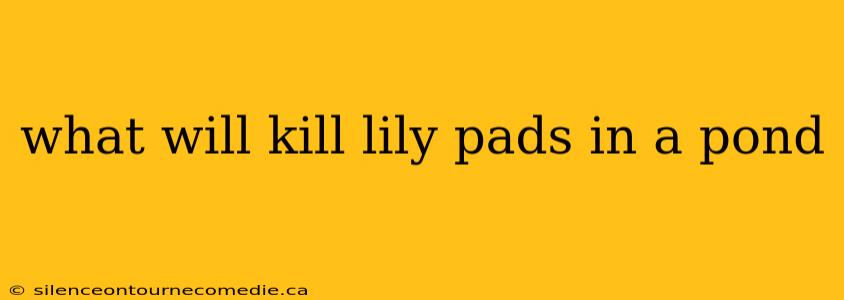 what will kill lily pads in a pond