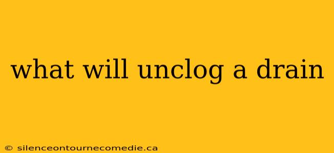 what will unclog a drain
