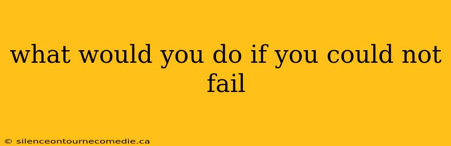 what would you do if you could not fail