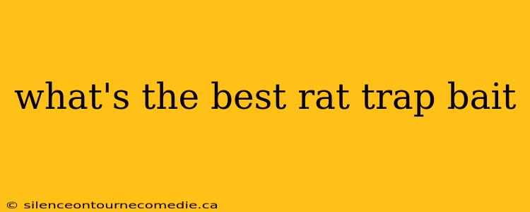 what's the best rat trap bait