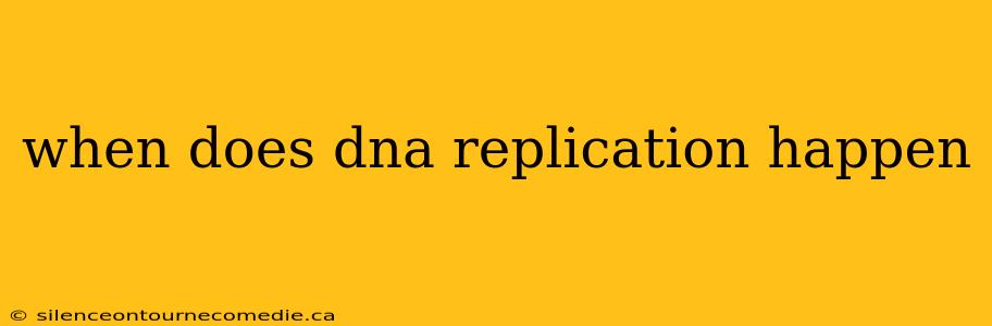 when does dna replication happen