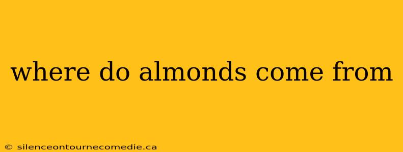 where do almonds come from