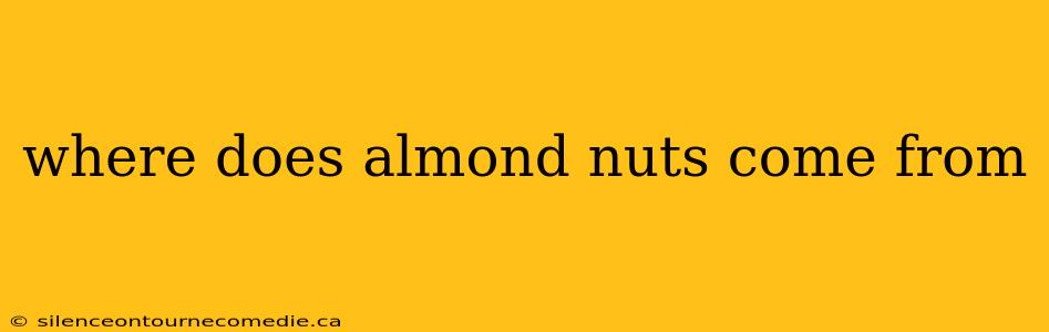 where does almond nuts come from