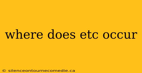where does etc occur