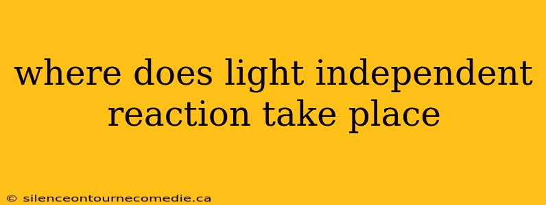 where does light independent reaction take place