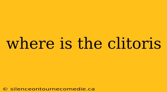 where is the clitoris