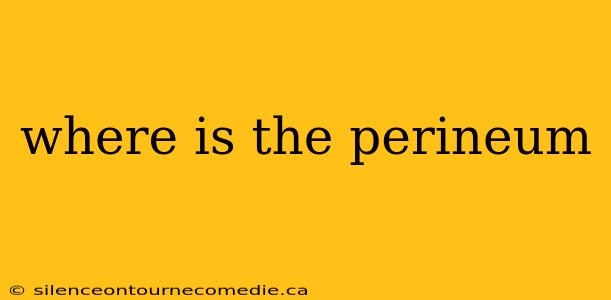 where is the perineum