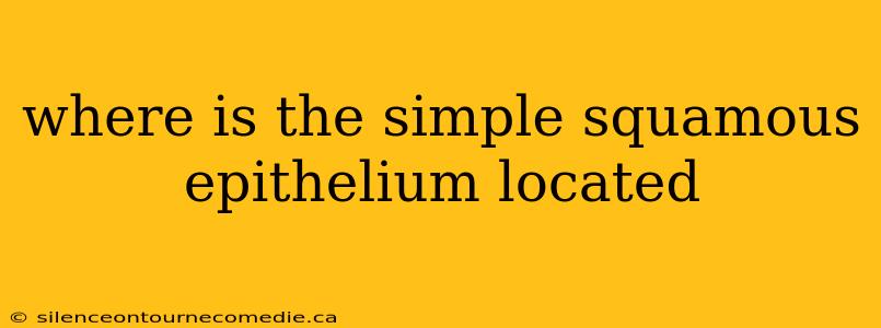 where is the simple squamous epithelium located