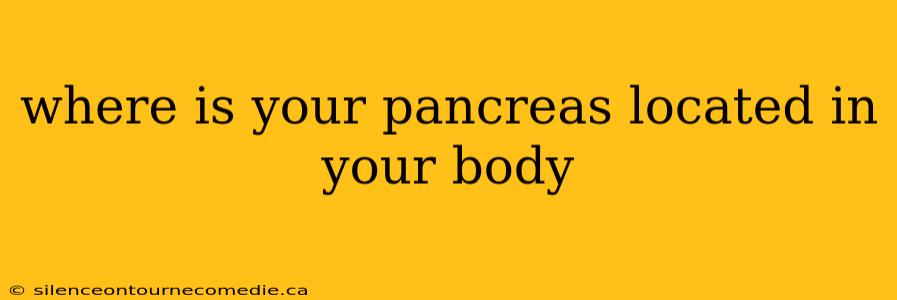 where is your pancreas located in your body