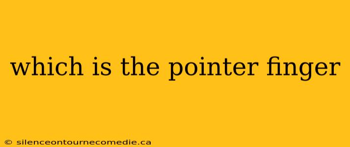which is the pointer finger