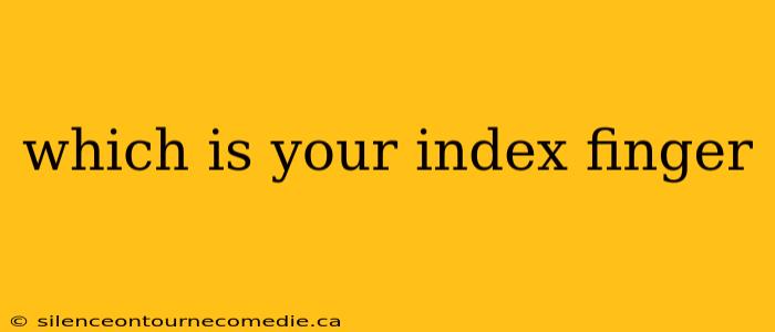 which is your index finger