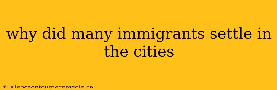 why did many immigrants settle in the cities
