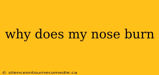 why does my nose burn