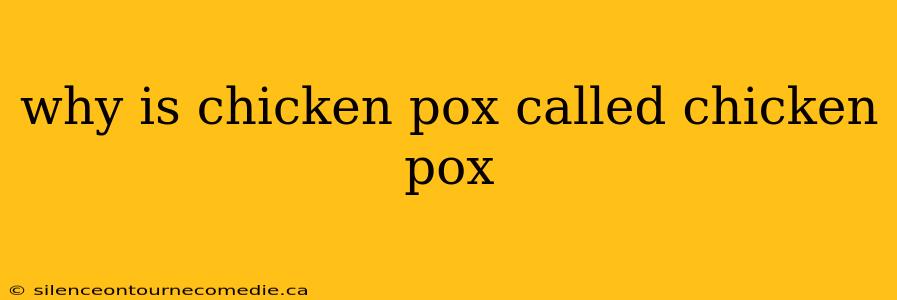 why is chicken pox called chicken pox