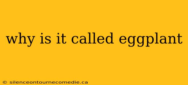 why is it called eggplant