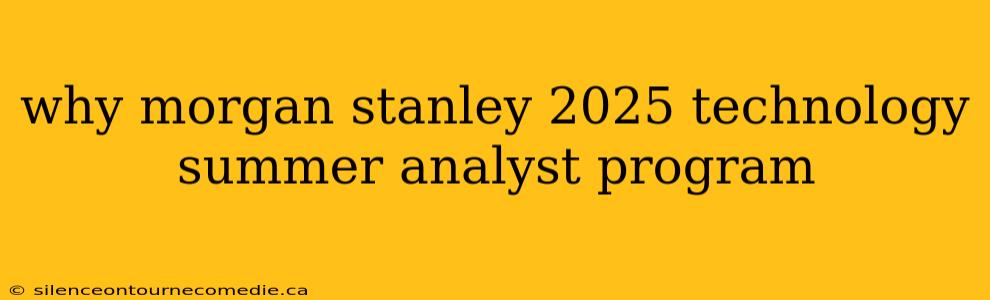 why morgan stanley 2025 technology summer analyst program