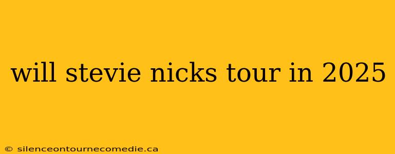 will stevie nicks tour in 2025