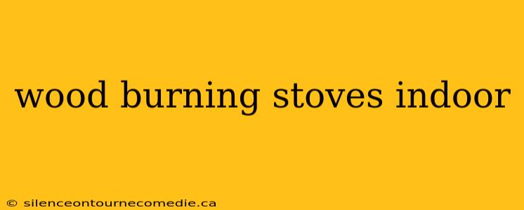 wood burning stoves indoor