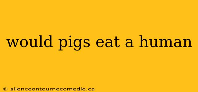 would pigs eat a human