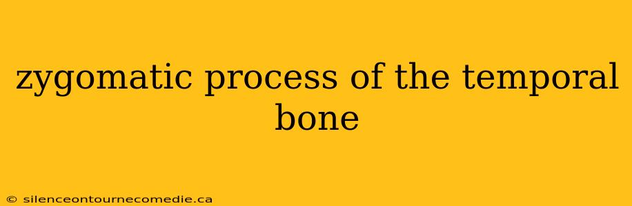 zygomatic process of the temporal bone